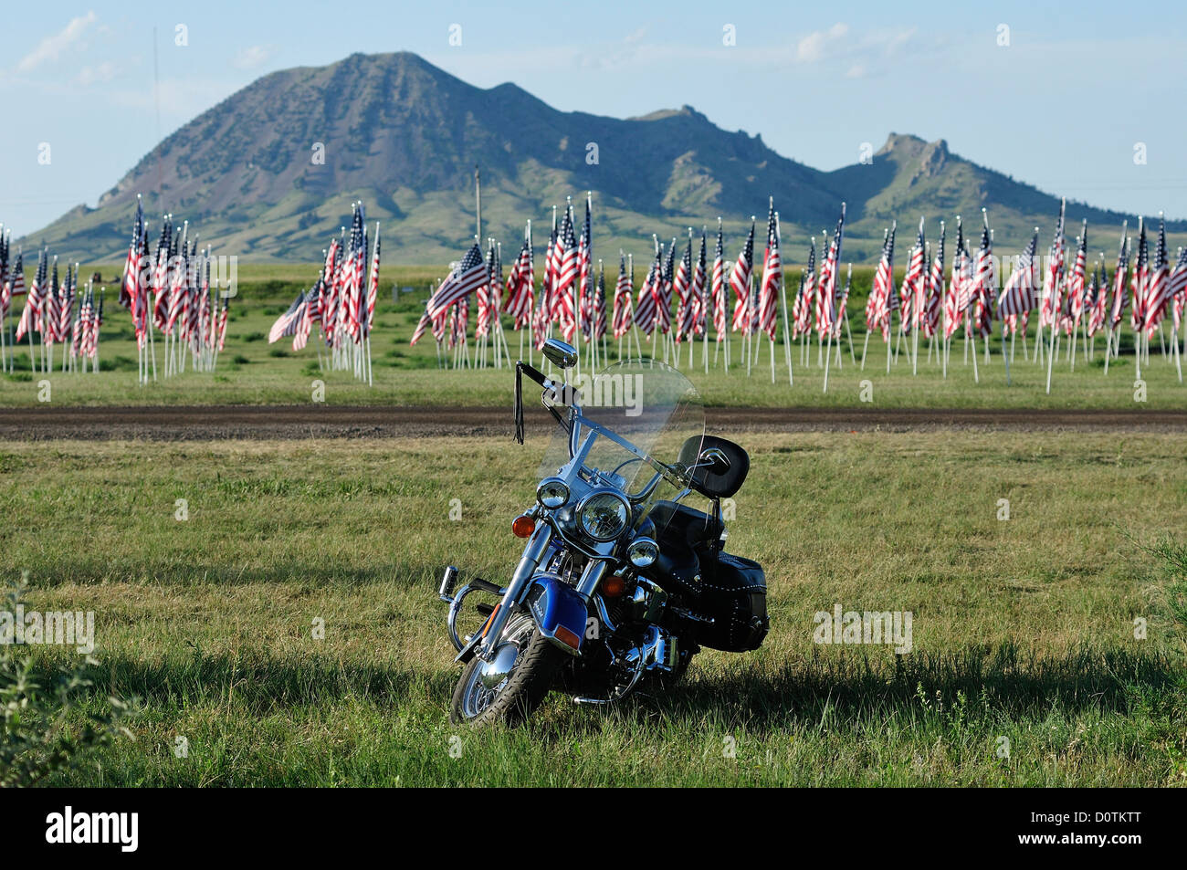 Des drapeaux américains, drapeaux, Harley, Harley Davidson, moto, balade, liberté, herbage, Sturgis, Dakota du Sud, USA, United States, Ameri Banque D'Images