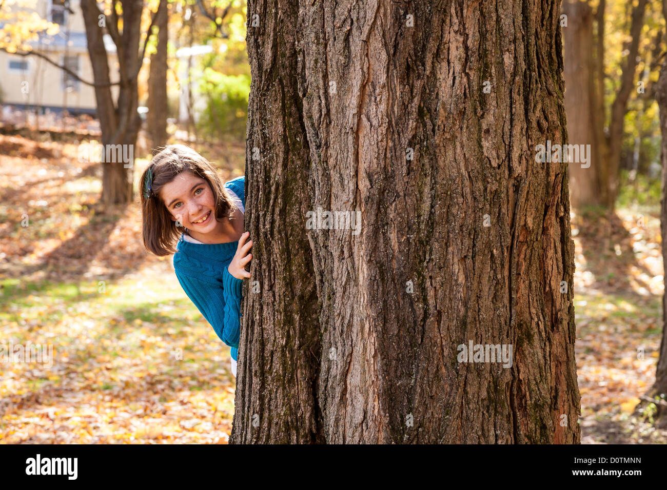 Young Girl Peeking autour d'arbre, USA Banque D'Images