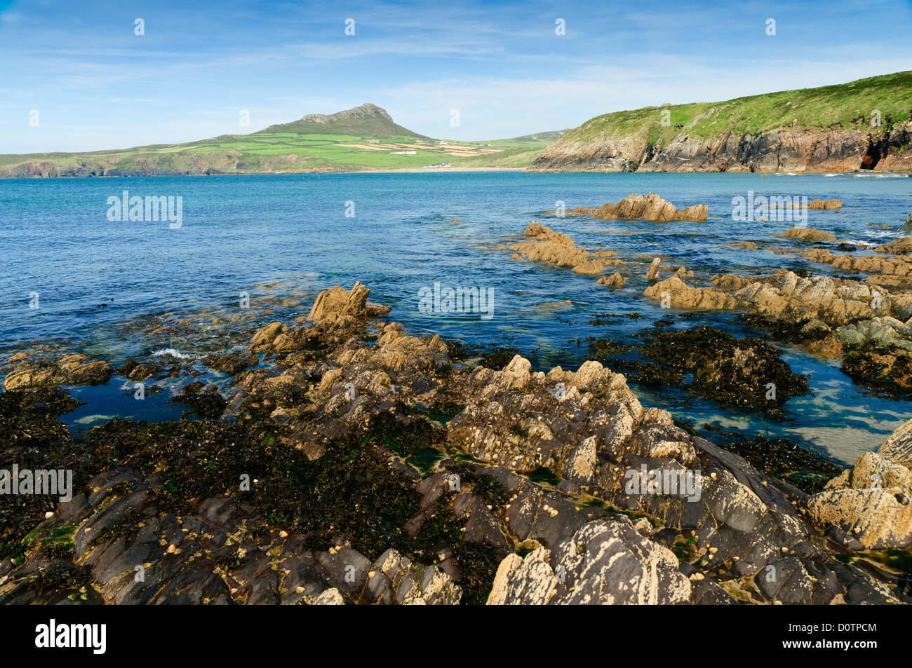 Une vue d'une partie rocheuse de la plage de Porthsele Pencarnan à pembrokeshire, dans l'ouest du pays de Galles avec Carn Llidi en arrière-plan. Banque D'Images