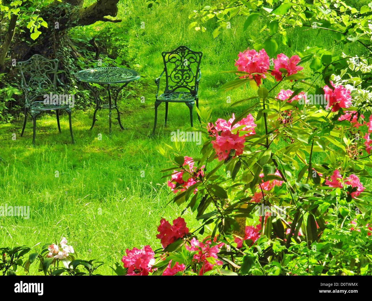 Allemagne, Europe, jardin, sièges, les buissons, les fleurs, s'épanouir, rouge, table, chaises, métal, meadow Banque D'Images