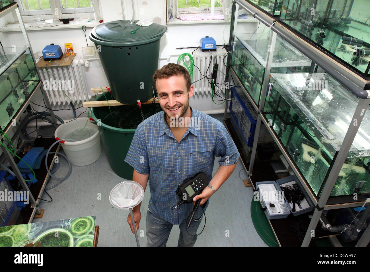 Rostock, Allemagne, un étudiant de troisième cycle dans le laboratoire de l'Université de crevettes d'élevage à Rostock Banque D'Images