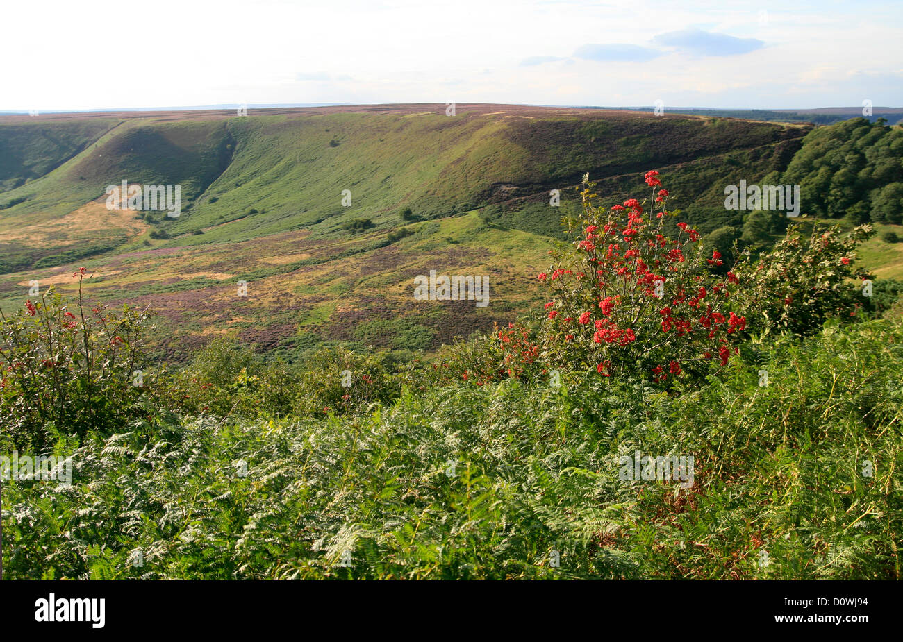 Trou de Horcum North Yorkshire Angleterre UK Banque D'Images