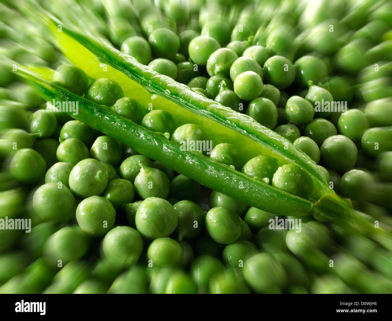 Les gousses de pois et petits pois frais Banque D'Images