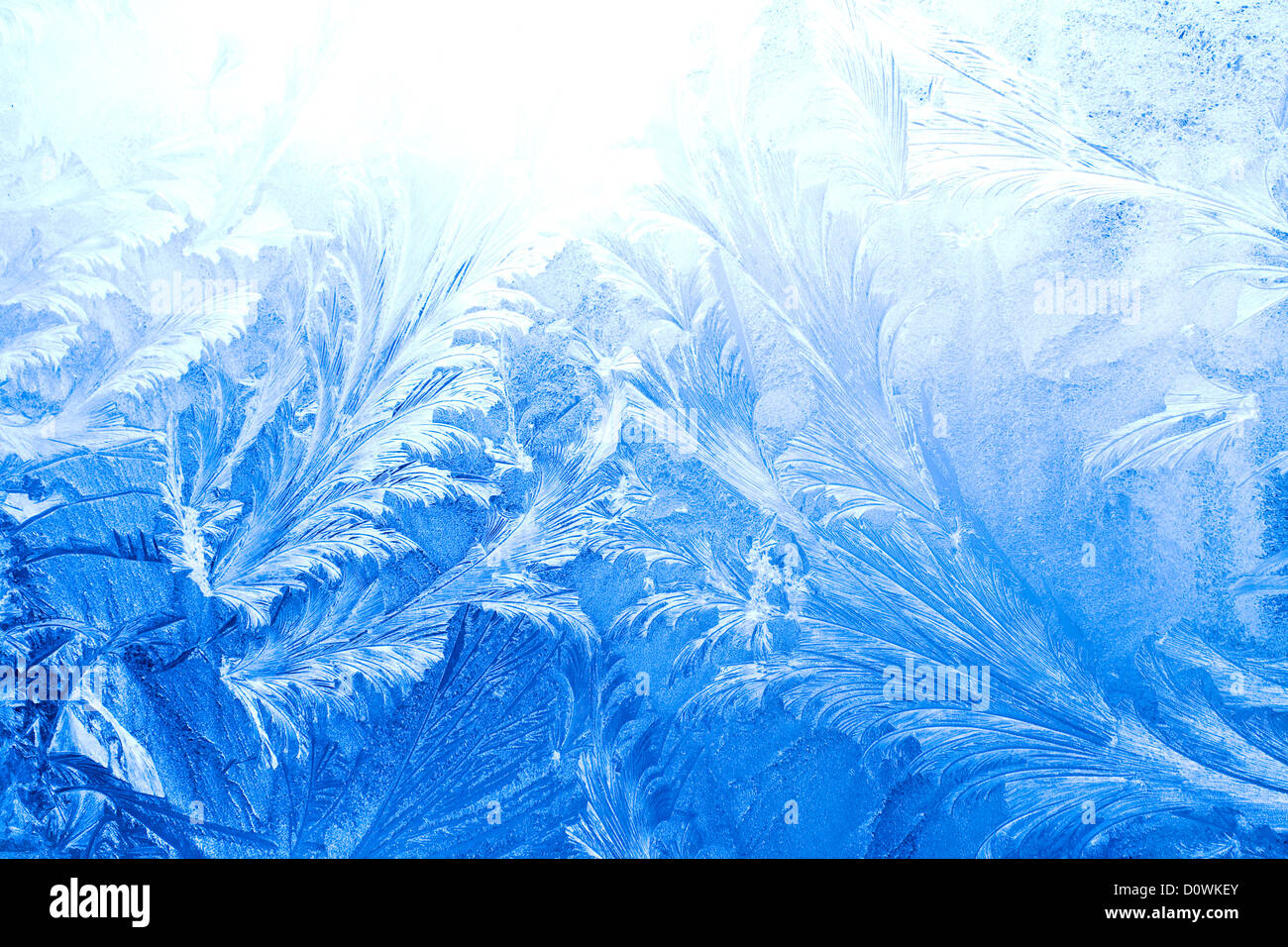 Modèle de glace sur une fenêtre en hiver Banque D'Images