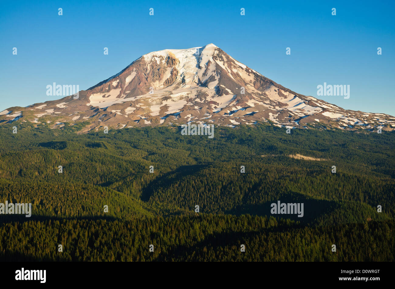 Conseil de Mont Adams Bluff, Gifford Pinchot National Forest, Washington. Banque D'Images