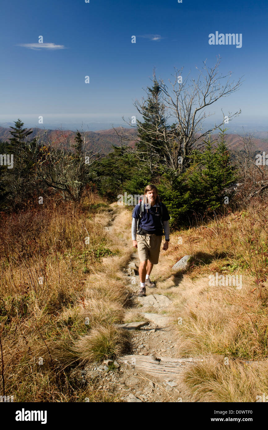 .Caroline du Nord - Randonnée Le sentier des Appalaches entre Clingmans Dome et ressorts doubles dans le Great Smoky Mountains National Park. Banque D'Images