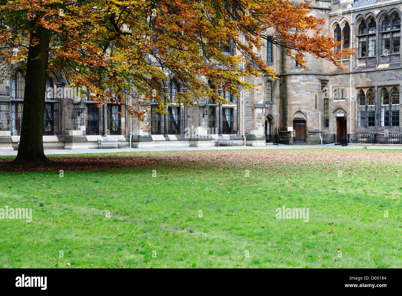 Le quadrilatère de l'Est à l'automne au Campus de l'Université de Glasgow à Glasgow, Écosse, Royaume-Uni Banque D'Images Le quadrilatère de l'Est à l'automne au Campus de l'Université de Glasgow à Glasgow, Écosse, Royaume-Uni Banque D'Images