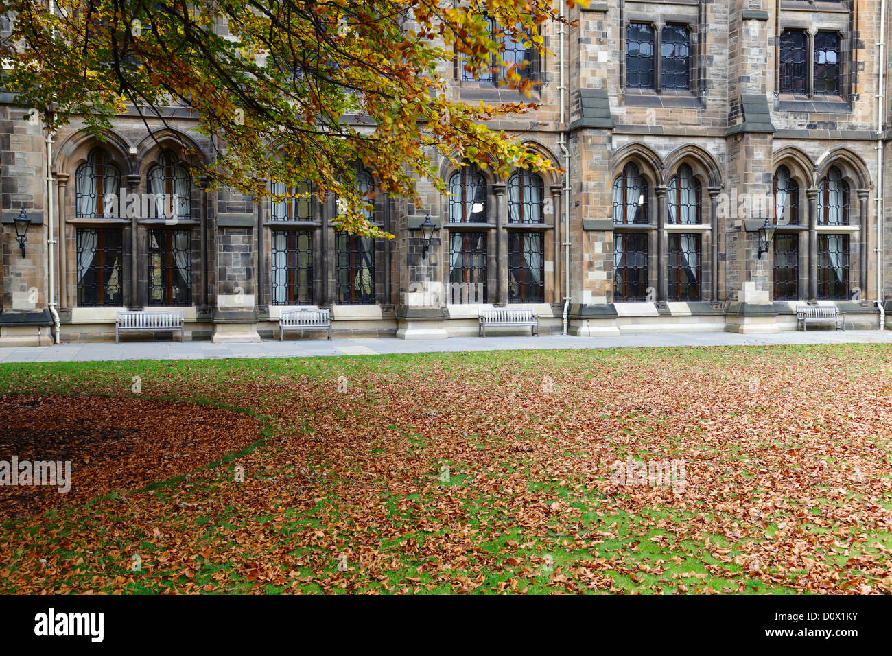 Le quadrilatère de l'Est à l'automne au Campus de l'Université de Glasgow à Glasgow, Écosse, Royaume-Uni Banque D'Images Le quadrilatère de l'Est à l'automne au Campus de l'Université de Glasgow à Glasgow, Écosse, Royaume-Uni Banque D'Images