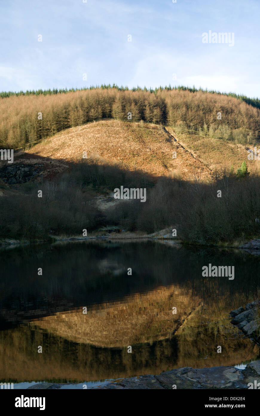 Clydach vale lac et de réflexion country park mcg, clydach, tonypandy de valley, South Wales, UK. Banque D'Images