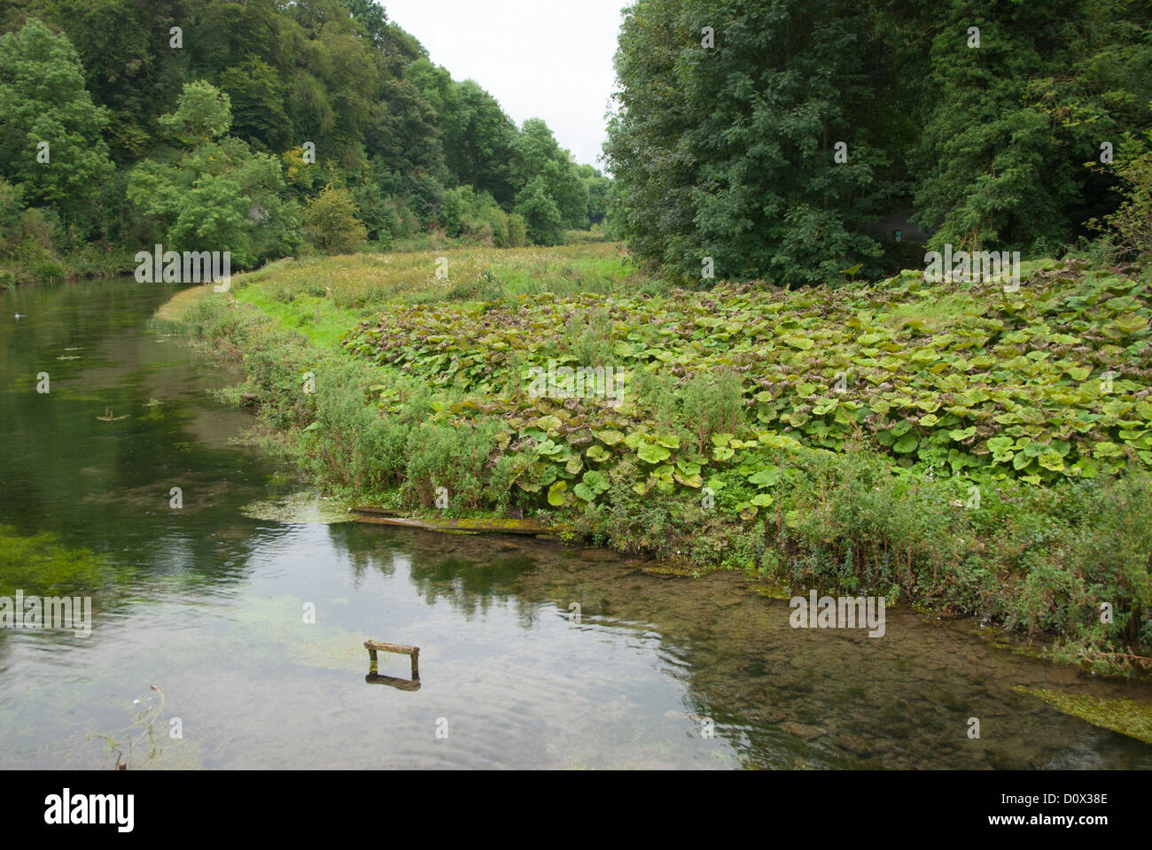 Paysage nature dans le parc national de Peak District avec Lathkill rivière sinueuse dans le Derbyshire, Royaume-Uni Banque D'Images