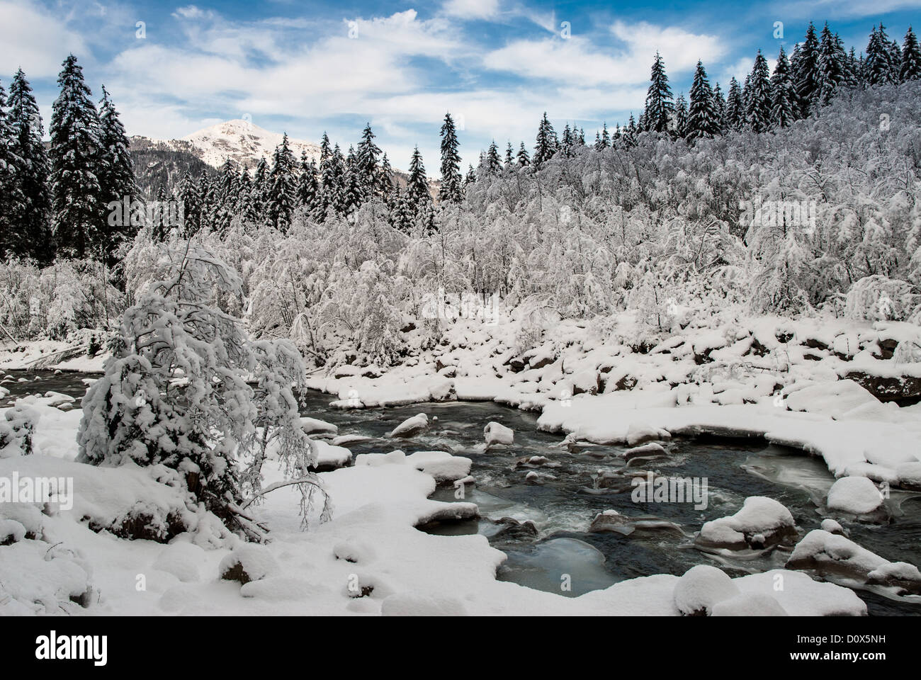 La forêt enneigée avec Brook près de alpes autrichiennes Banque D'Images