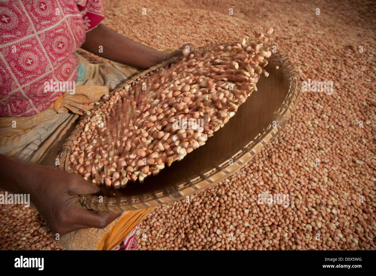 Une femme winnows arachides dans un entrepôt de marchandises à Dar es Salaam, Tanzanie, Afrique de l'Est. Banque D'Images