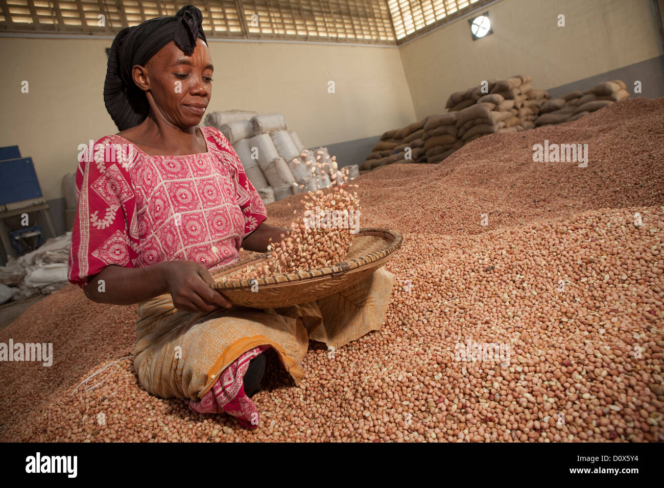 Une femme winnows arachides dans un entrepôt de marchandises à Dar es Salaam, Tanzanie, Afrique de l'Est. Banque D'Images