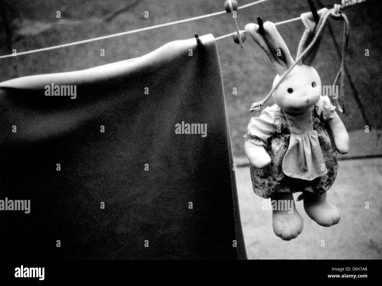 Un lapin en peluche et une couverture sèche sur une corde à linge à Astoria, Queen, NEW YORK. ©mak Banque D'Images