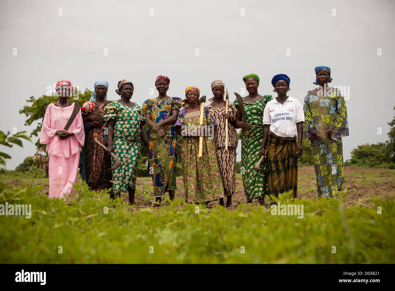 Ferme des femmes dans un champ près de Doba, au Tchad, en Afrique. Banque D'Images