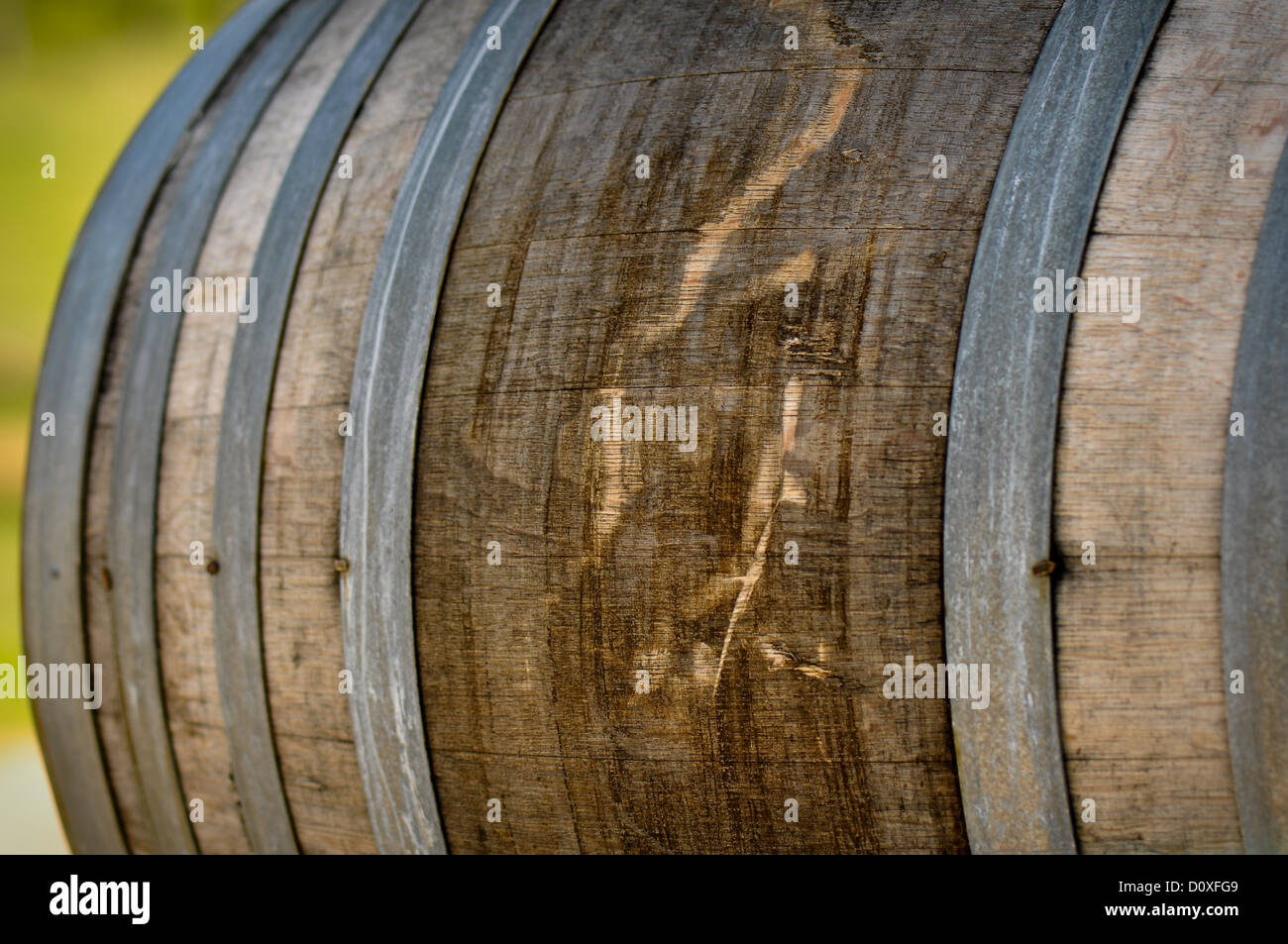 Vignoble vin baril avec en arrière-plan Banque D'Images