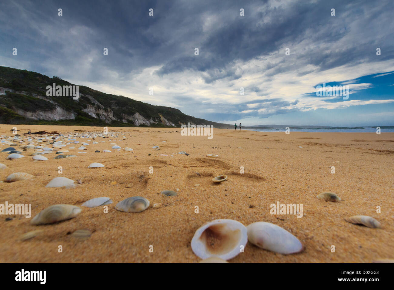 L'Australie, loin au sud, la Côte , Nouvelles Galles du Sud, de la côte de Saphir, Tura Beach, le sable, les coquillages, côte, plage Banque D'Images