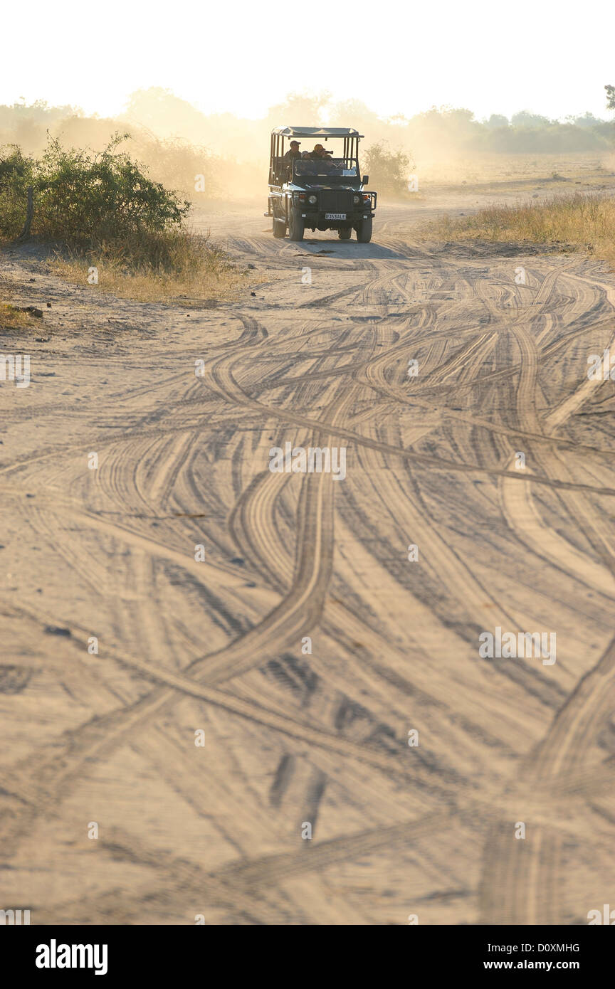 L'Afrique, Botswana, Chobe, Parc National, safari, horizontal, land rover, sable, voie Banque D'Images