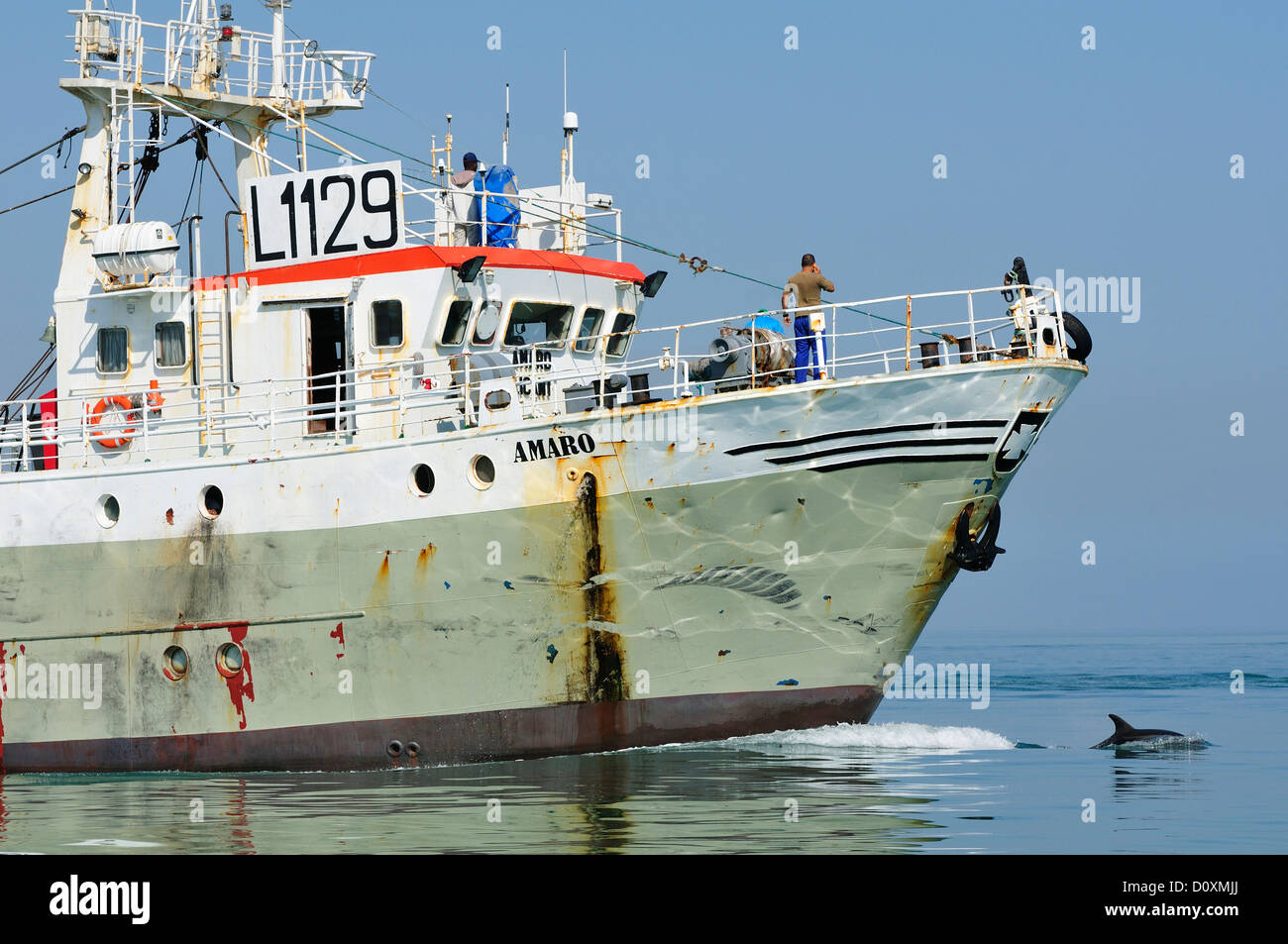 L'Afrique, la Namibie, Walvis Bay, croisière, Dauphin, animal, mer, bateau, Banque D'Images