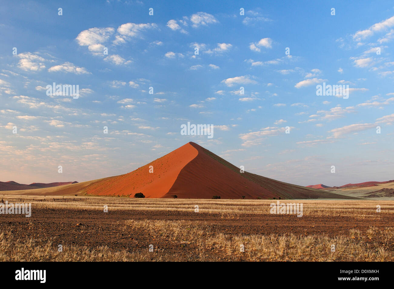L'Afrique, ciel bleu, les dunes du Namib Naukluft,,, Parc, la Namibie, l'Afrique, Sossusvlei, désert, prairies, horizontal, paysage, pyramide Banque D'Images