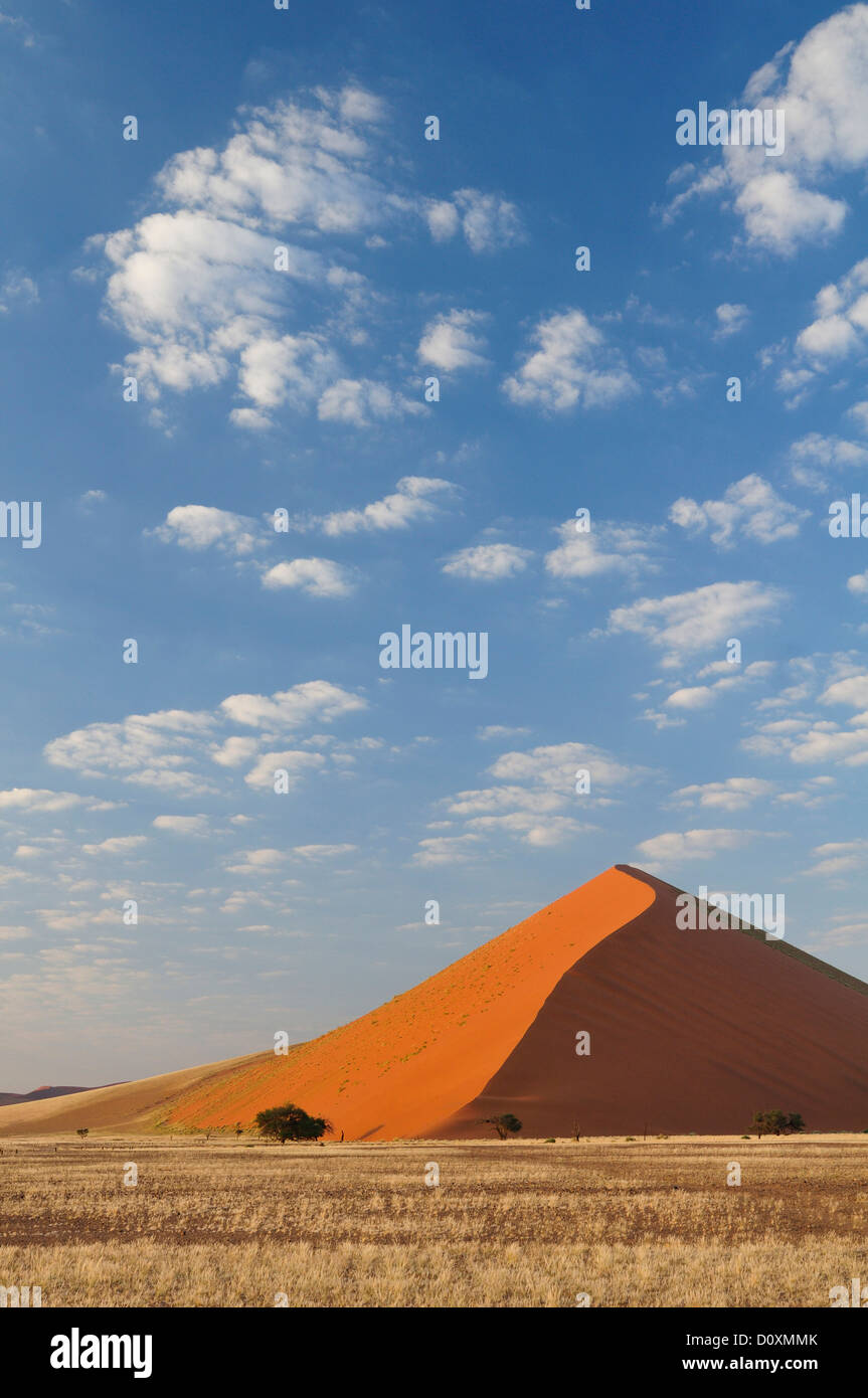 Dunes Namib Naukluft Park Afrique Namibie Sossusvlei désert africain pyramide paysage des prairies de savane de sable rouge Banque D'Images
