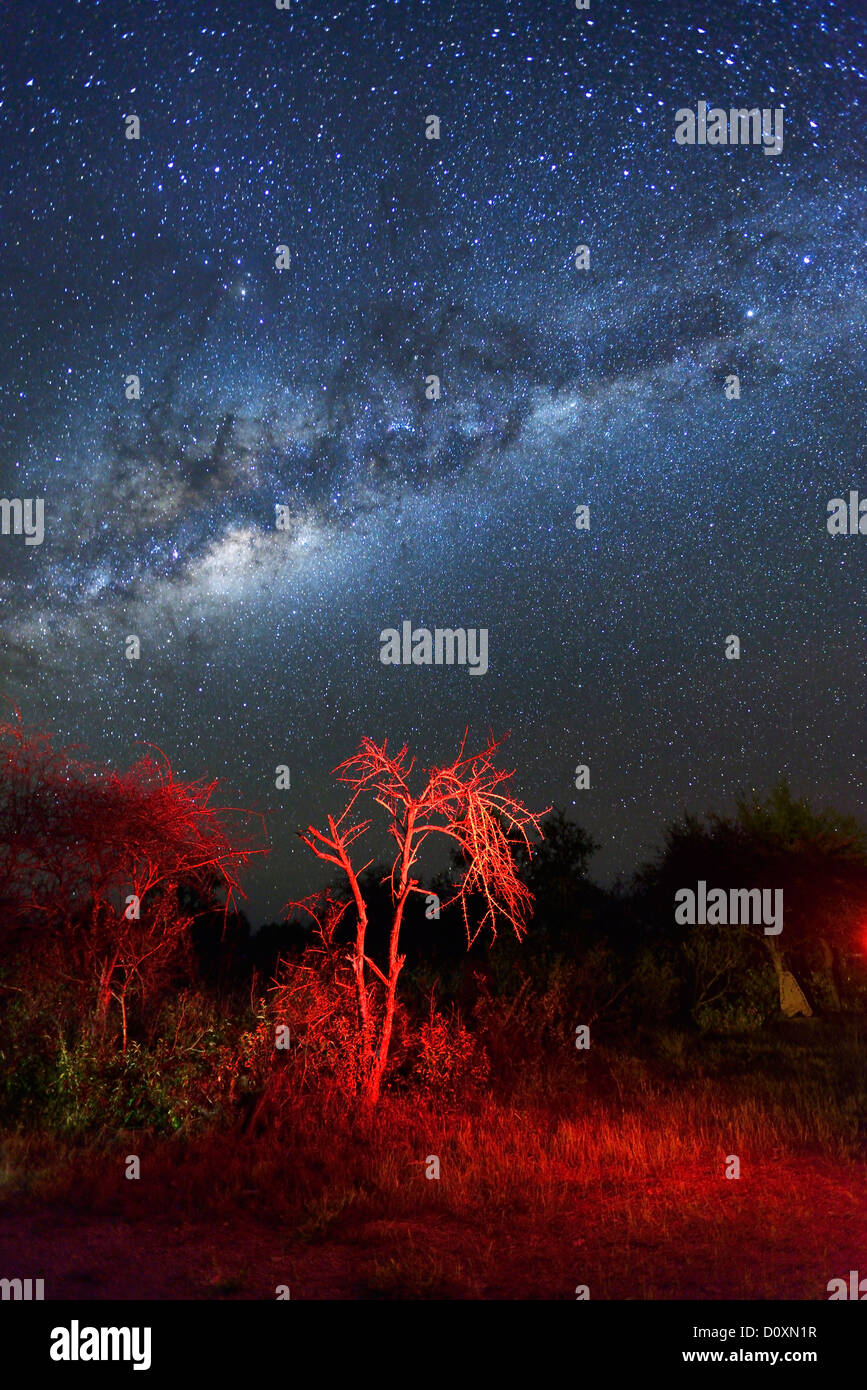 L'Afrique, la Namibie, Fiume Lodge, ciel de nuit, les étoiles, le désert, sky, Astro, photographie, Bloomfontein, ciel, étoile, ciel, ciel étoilé Banque D'Images