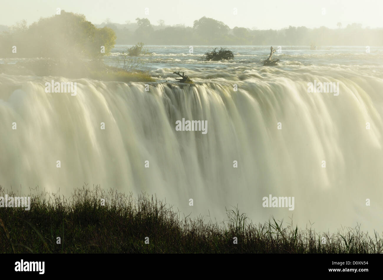 L'Afrique, le Zimbabwe, le Zambèze, River, Afrique du Sud, Victoria Falls, une cascade, l'eau, le débit de la chute, du matin Banque D'Images