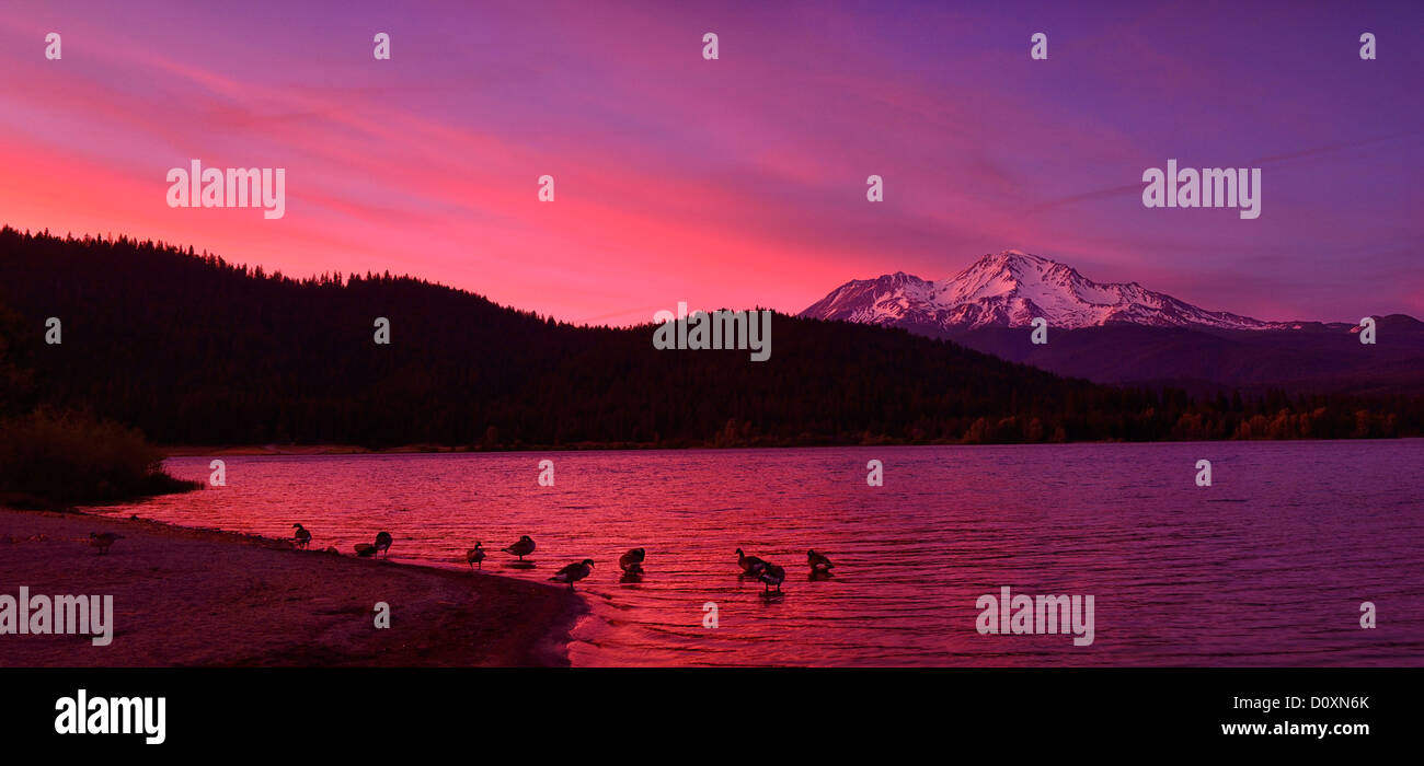 USA, United States, Amérique, Californie, Comté de Siskiyou, nord, volcan, pic, montagne, neige, plafonnée, Shasta, Lac, Sisikyo Banque D'Images