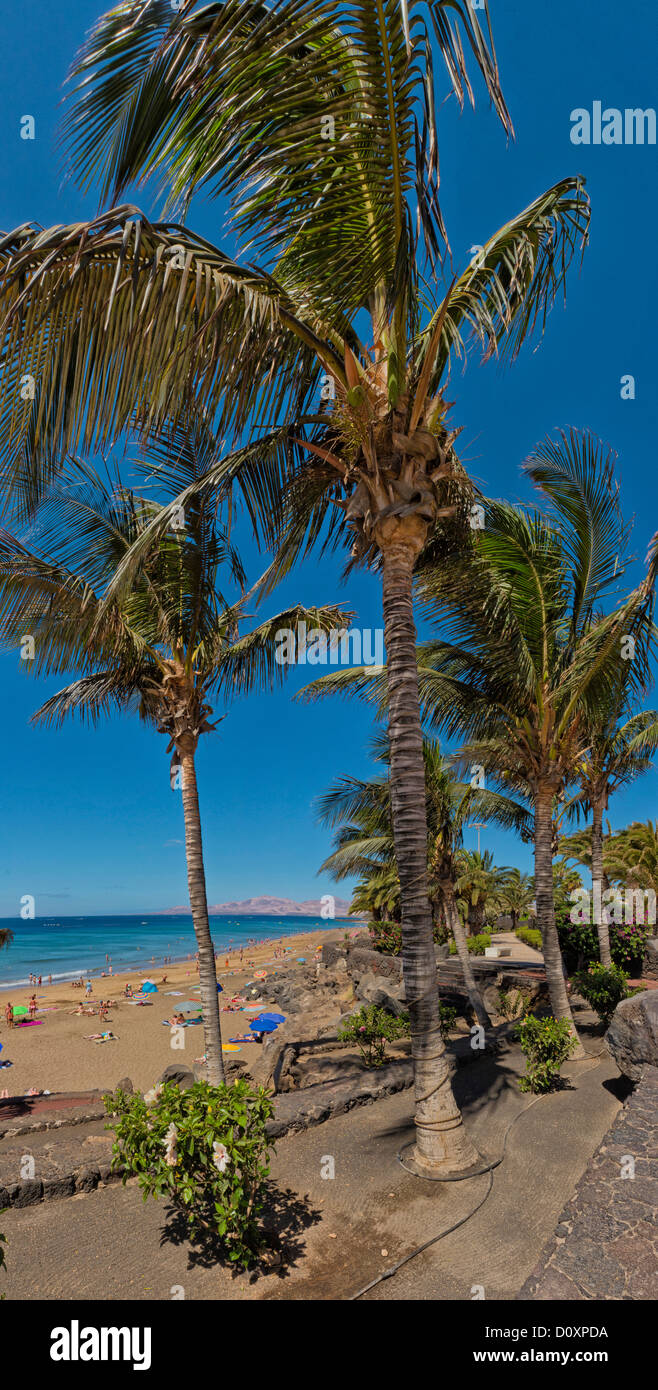L'Espagne, Lanzarote, Puerto del Carmen, Playa Grande, paysage, forêt, bois, arbres, l'été, la plage, la mer, les gens, les îles Canaries, Banque D'Images