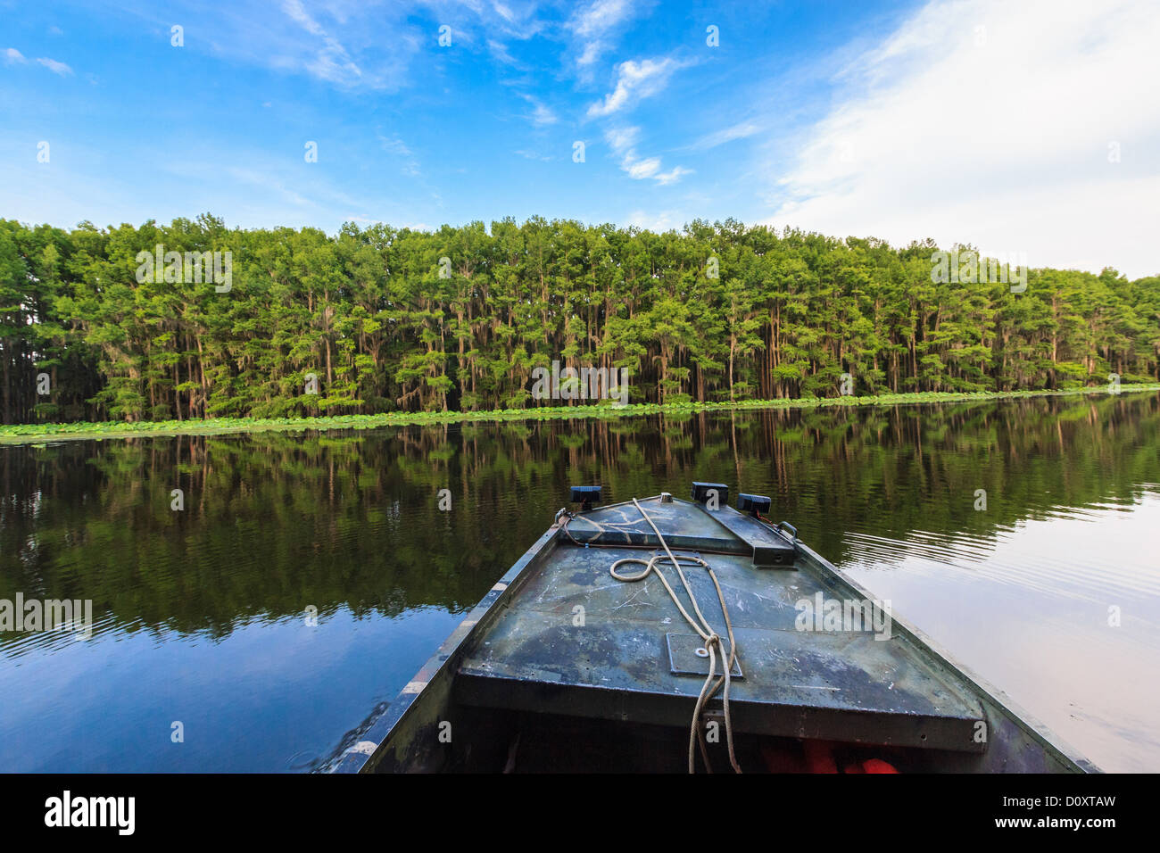 Caddo Lake, Texas, États-Unis Banque D'Images