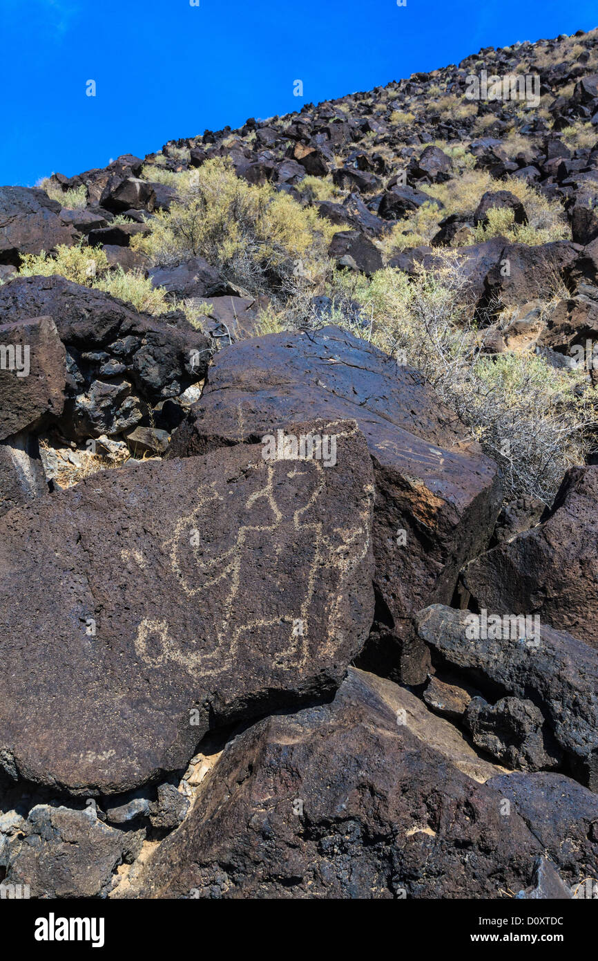 Petroglyph, rock, dessin National Monument Banque D'Images
