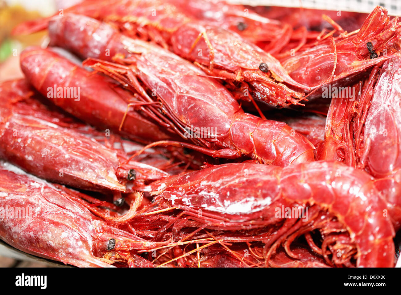 Homards congelés Banque D'Images