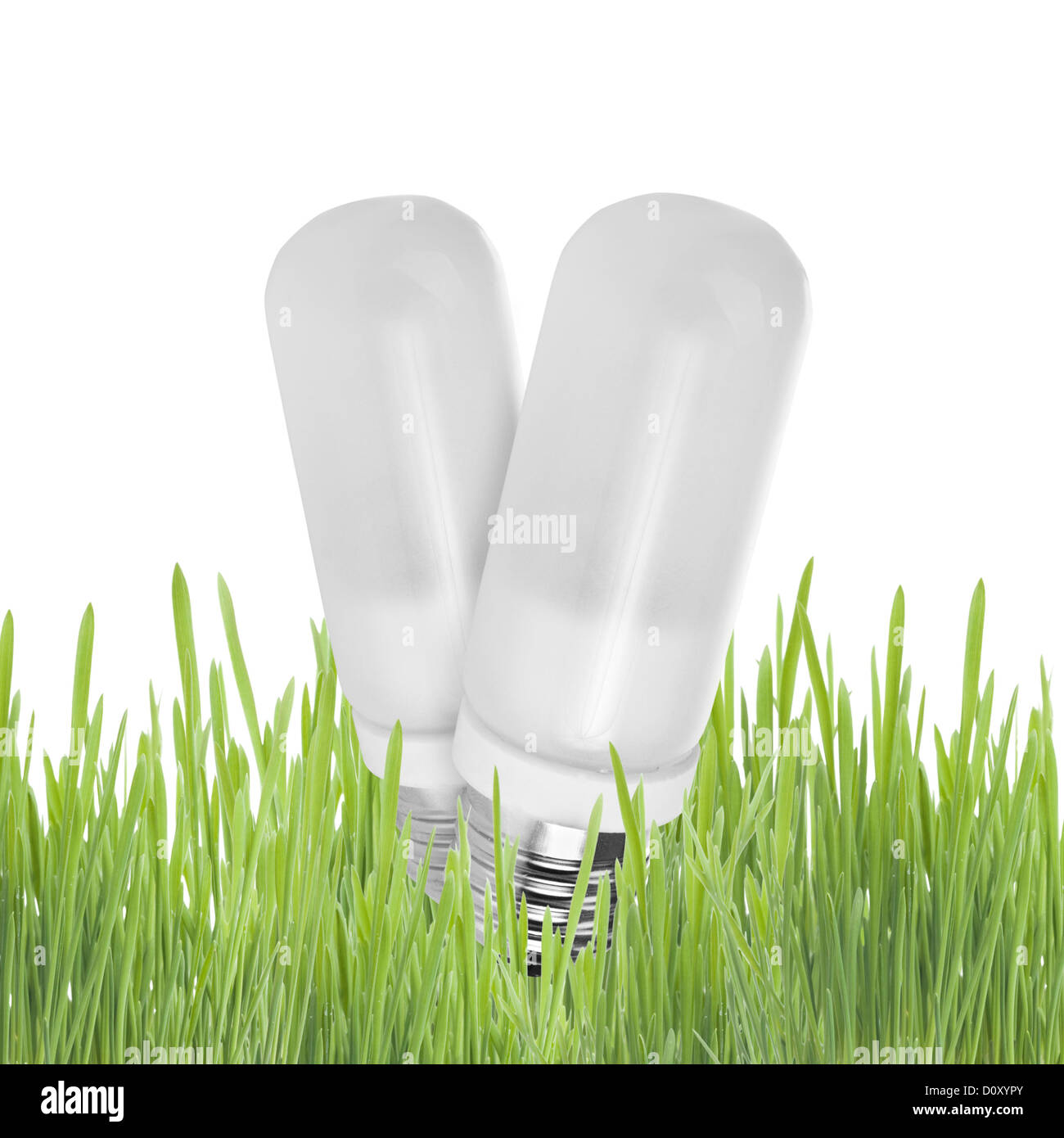 Light bulb on grass Banque D'Images