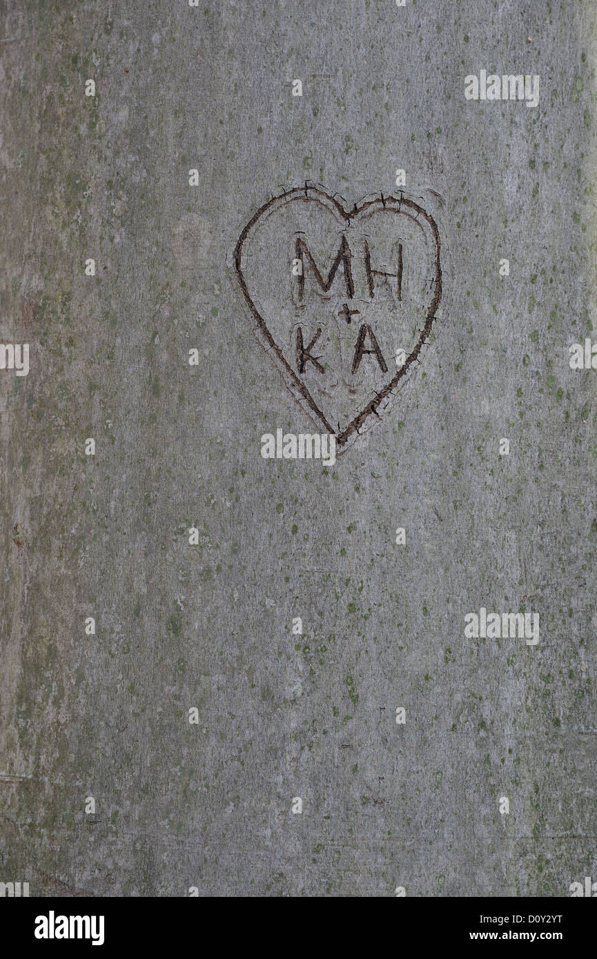 Initiales et de Cœur sculpté dans un arbre Banque D'Images