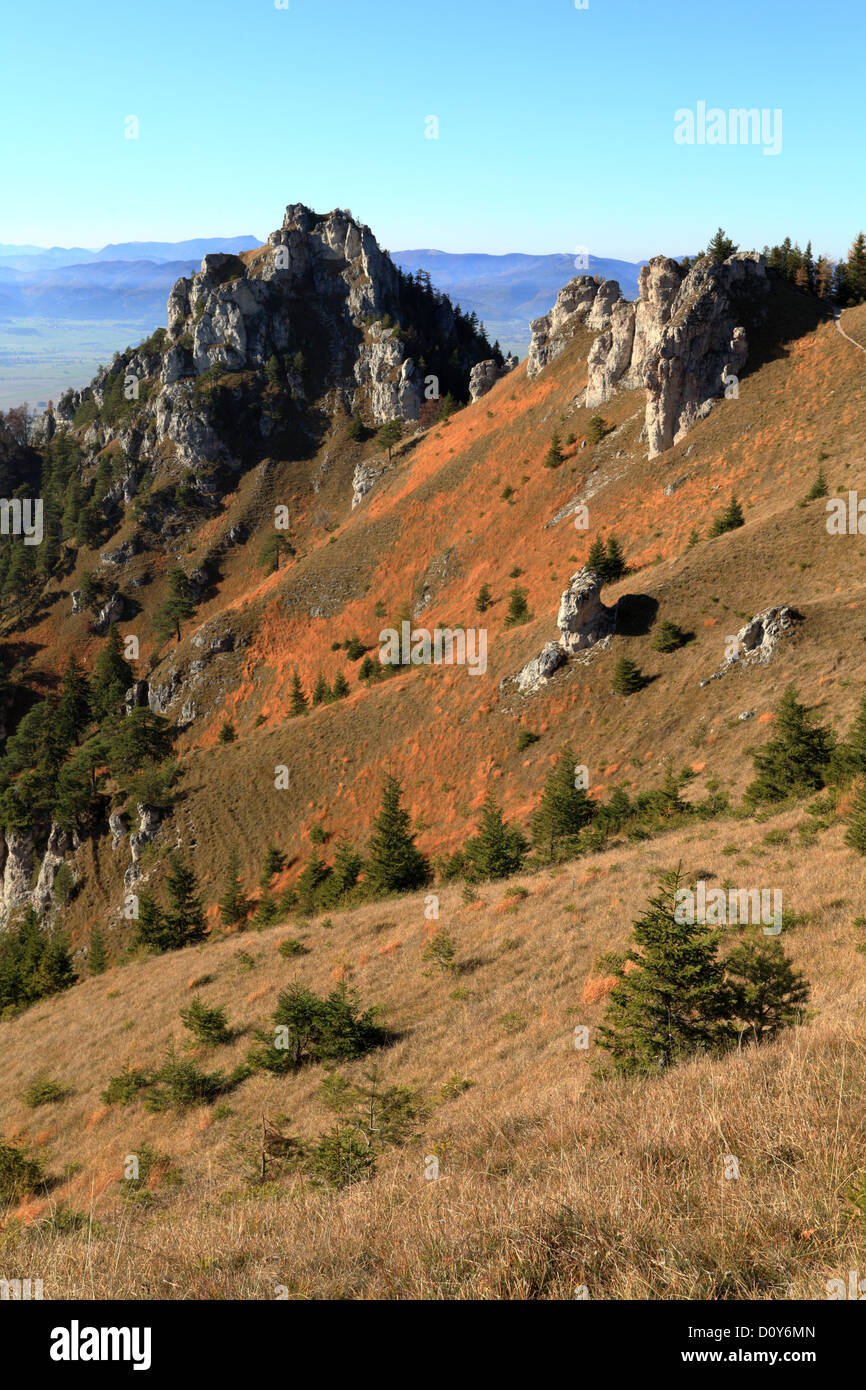 Les falaises de calcaire au sommet d'Ostra, NP, Velka Fatra Slovaquie. Banque D'Images