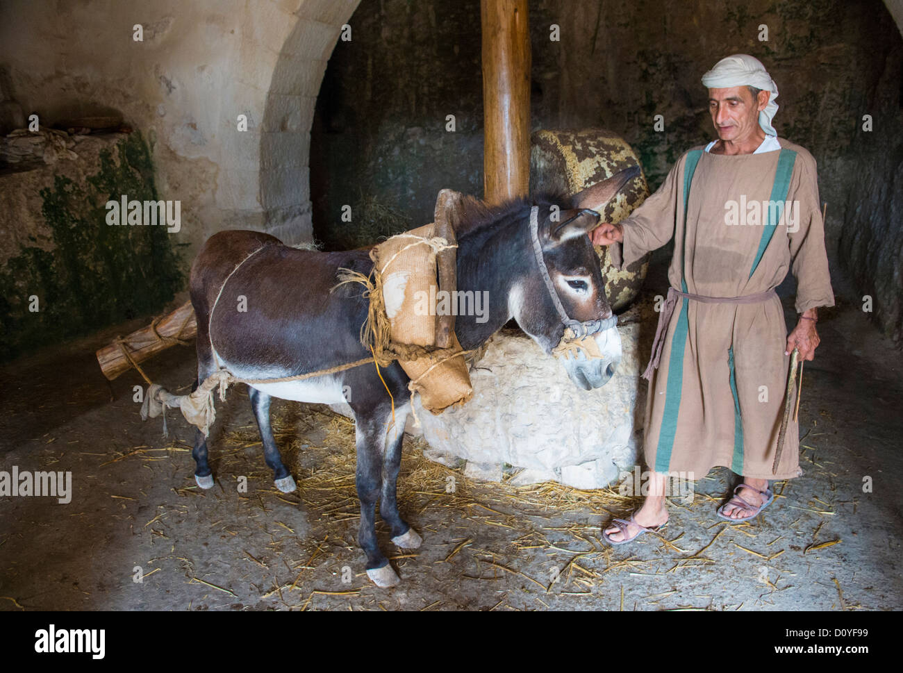 Millstone & âne utilisé pour presser les olives pour faire l'huile d'olive dans Nazareth Village Banque D'Images