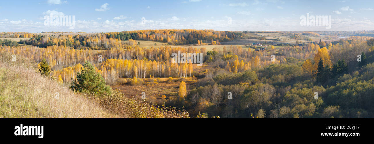 forêt d’automne Banque D'Images