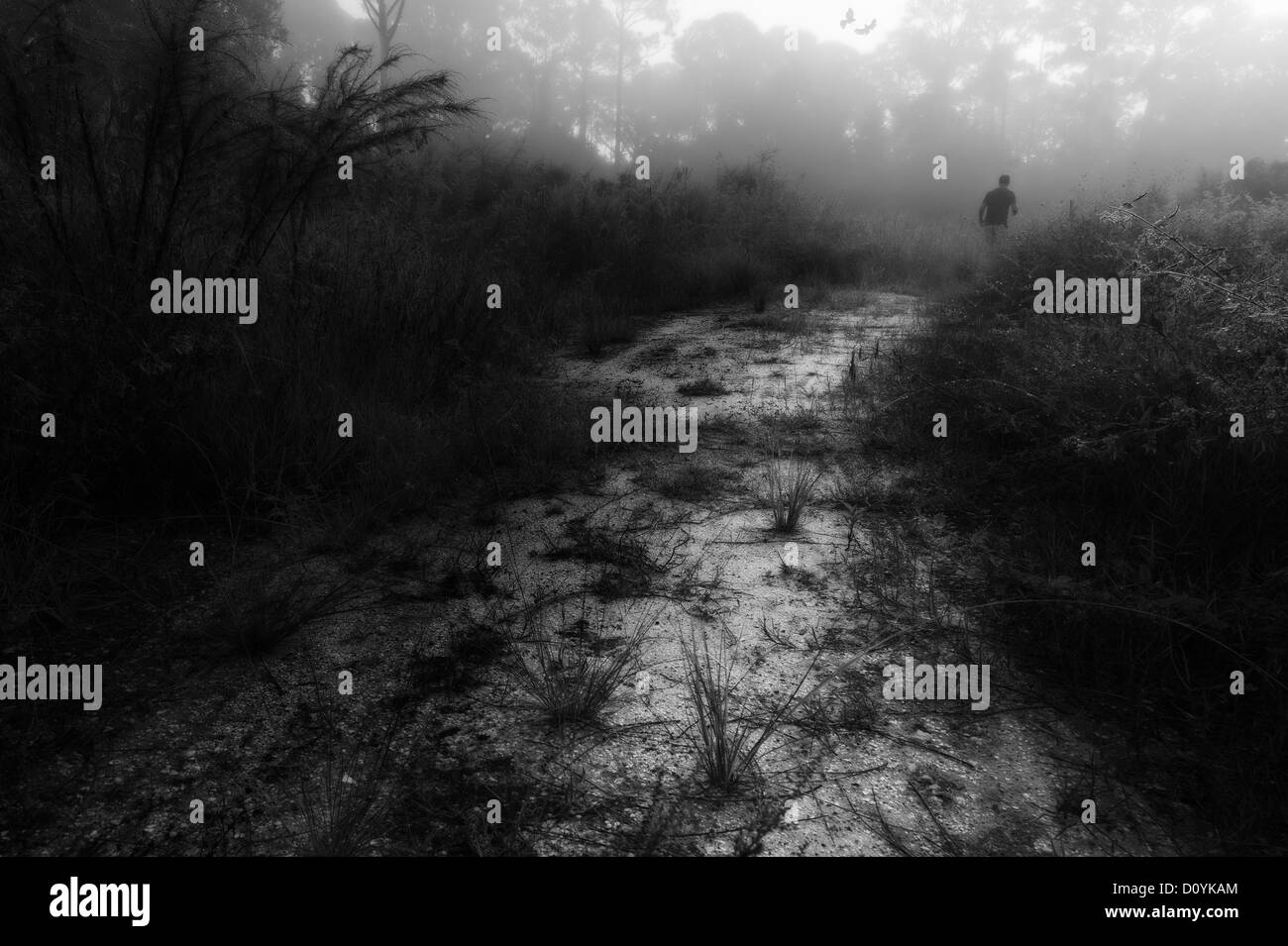 Image en noir et blanc d'un homme qui marche dans le brouillard à la fin d'un sentier. Banque D'Images