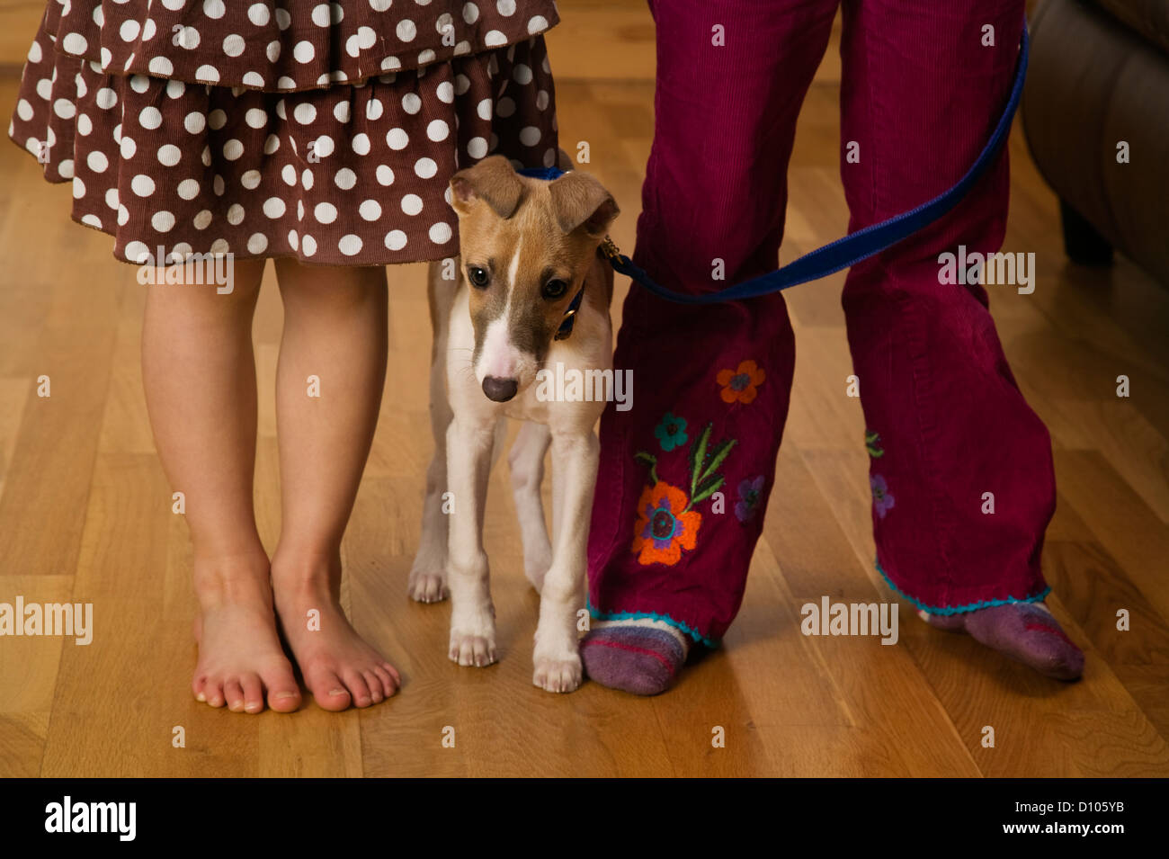 Un chiot se tient entre deux petits enfants,Devon UK Banque D'Images