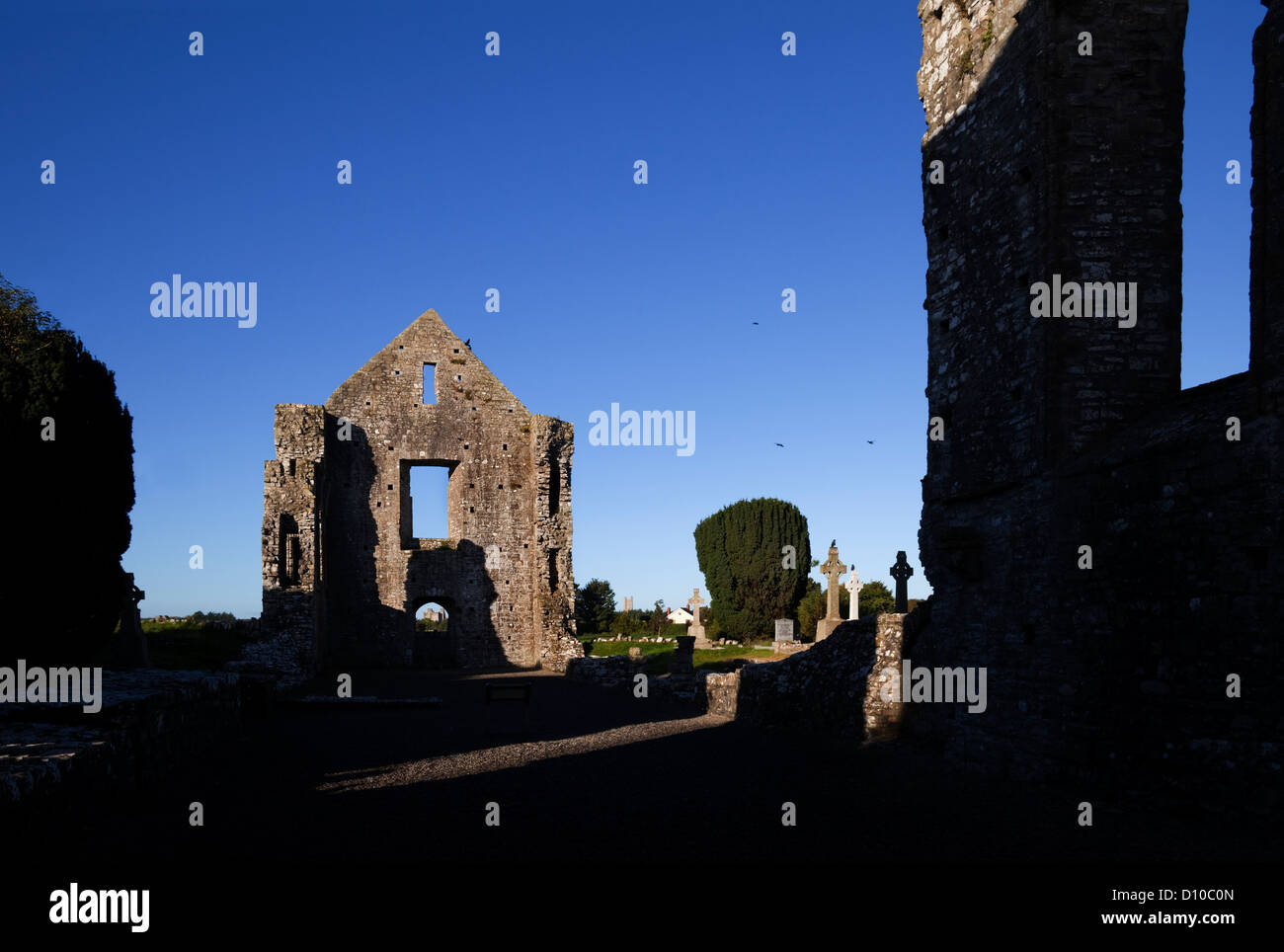 Le mur pignon ouest dans les ruines du 13e siècle, avec la Cathédrale de Newtown Trim Castle visible à travers la porte, garniture, comté de Meath, Irlande Banque D'Images
