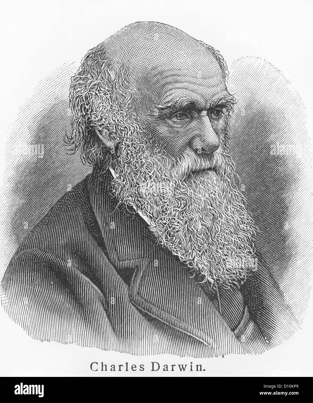 Dessin vintage Charles Darwin Banque D'Images