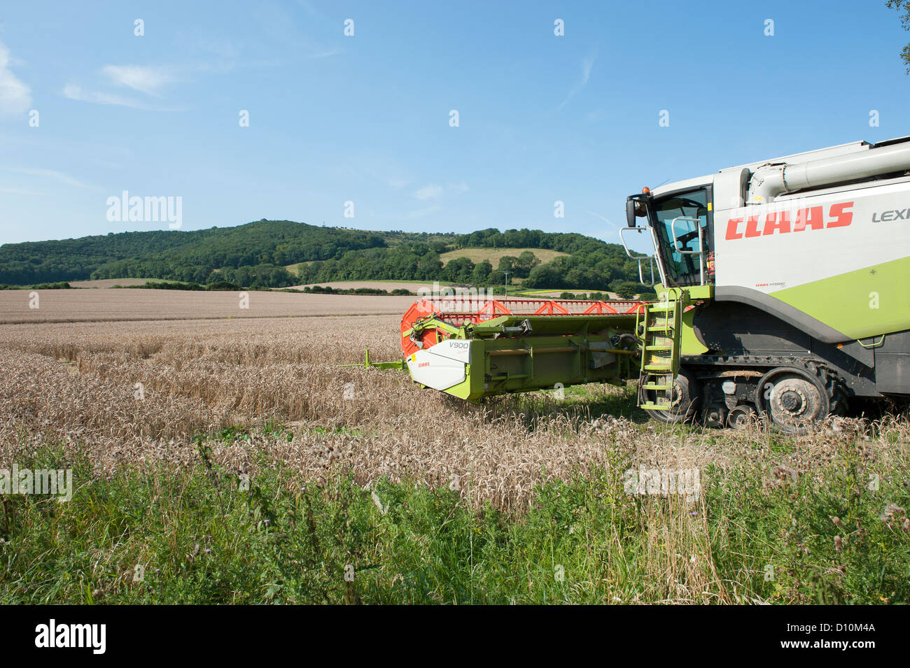 Combiner la récolte dans le Hampshire, en Angleterre, avec un rendmt Lexion CLAAS 570 Terra-Trac avec V900 en-tête auto-contour Banque D'Images