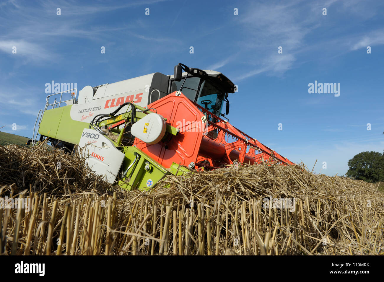 Combiner la récolte dans le Hampshire, en Angleterre, avec un rendmt Lexion CLAAS 570 Terra-Trac avec V900 en-tête auto-contour Banque D'Images