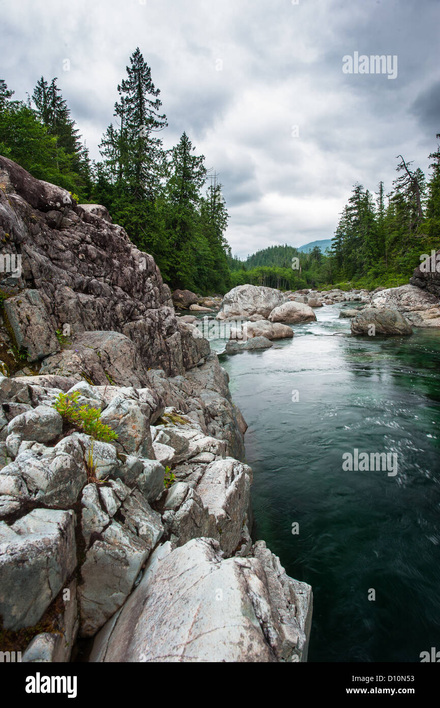 Petite rivière sur Sutton Pass, l'île de Vancouver, Canada Banque D'Images