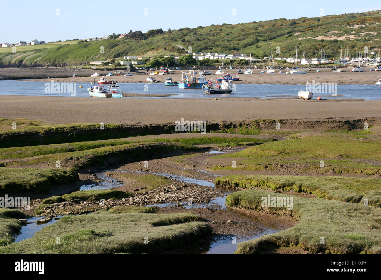 Marais et l'estuaire de Teifi marée marée basse Pembrokeshire Wales UK St Dogmaeils Banque D'Images