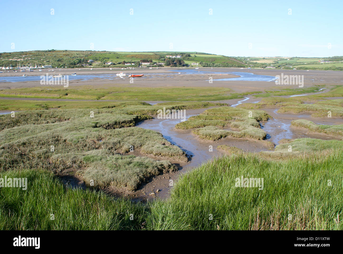 Marais de l'estuaire de Teifi Pembrokeshire Wales UK St Dogmaeils Banque D'Images