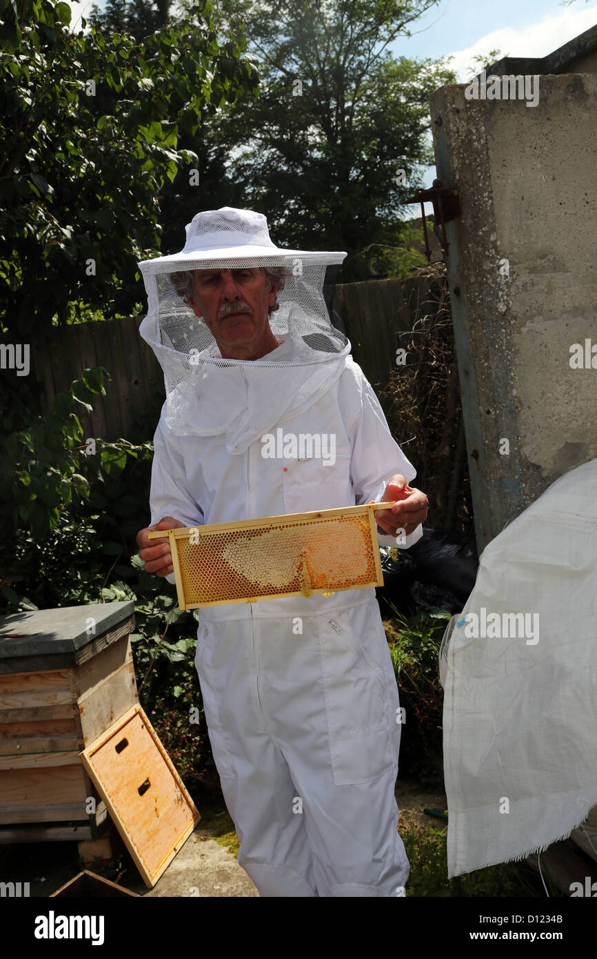 La tenue d'un apiculteur miel de ruche de Surrey en Angleterre Banque D'Images