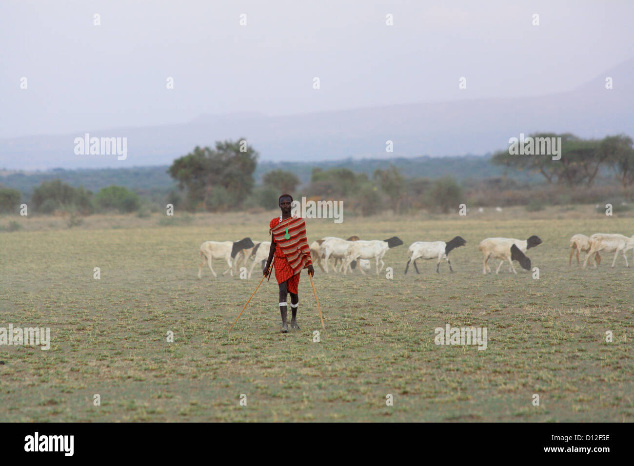 Les gens Masai Masai en Tanzanie Afrique de l'Est Banque D'Images