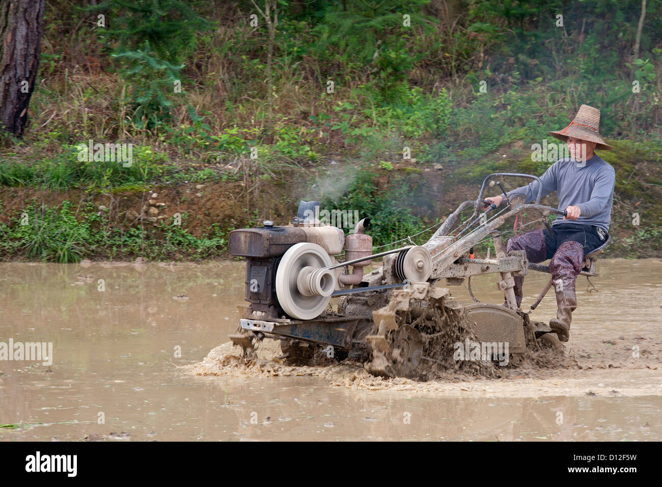 Fermier chinois travailler avec une charrue motorisé dans un champ de riz dans le sud-est de la Chine Banque D'Images