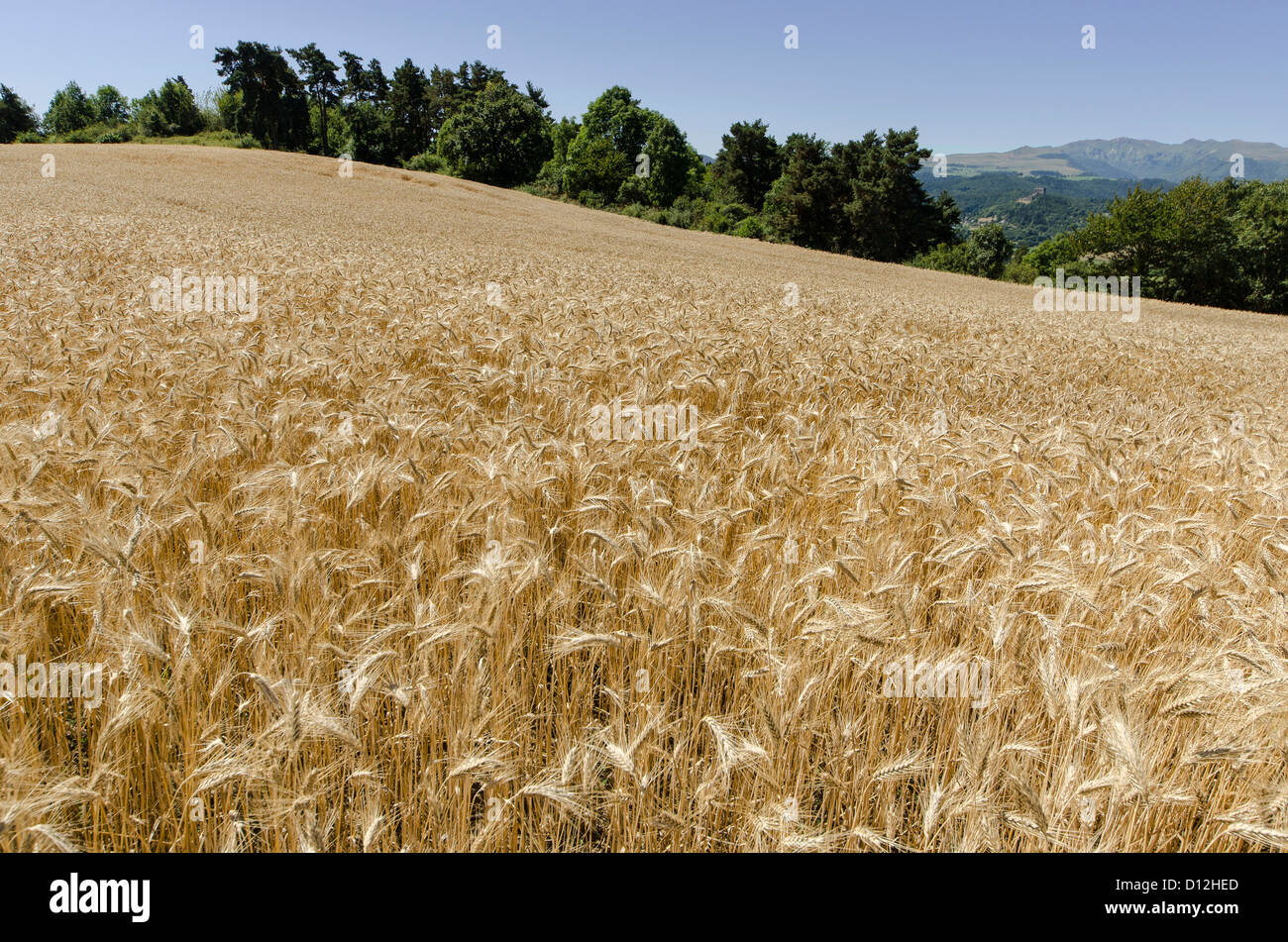 Paysage rural Banque D'Images